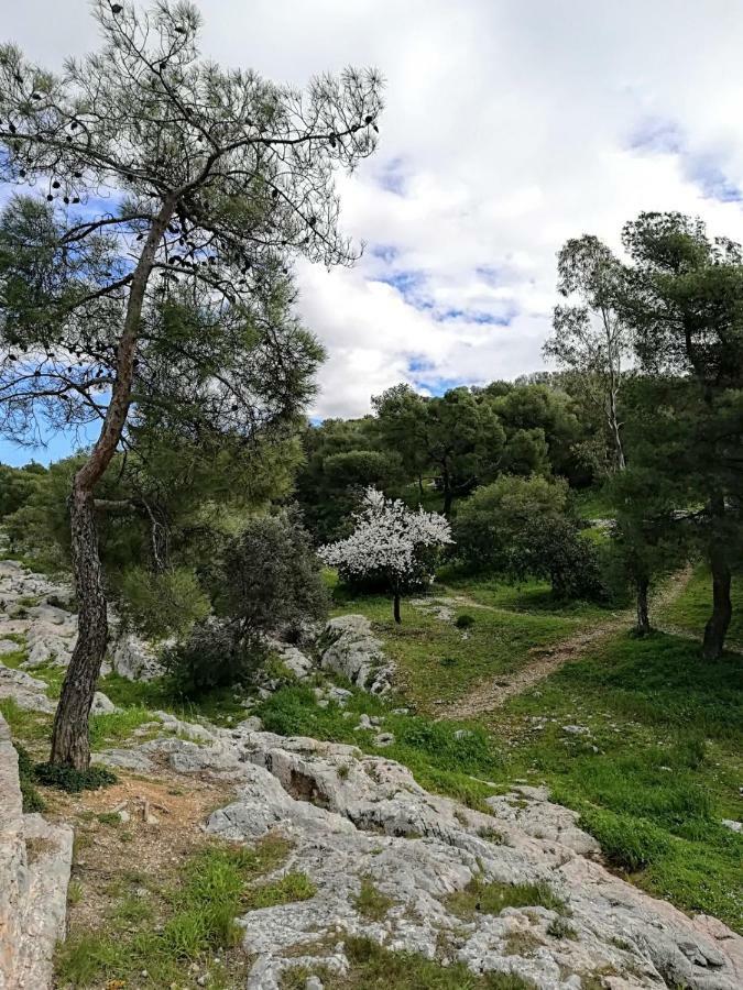 Spacious Apartment Near Acropolis With Roof Garden Atene Esterno foto